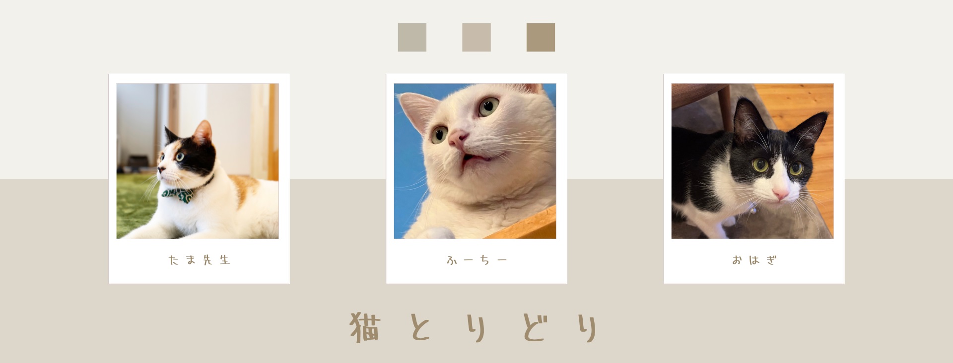 猫とりどり